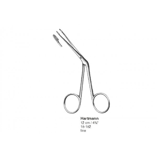 Otology